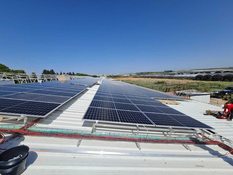 מאור 300 קילו