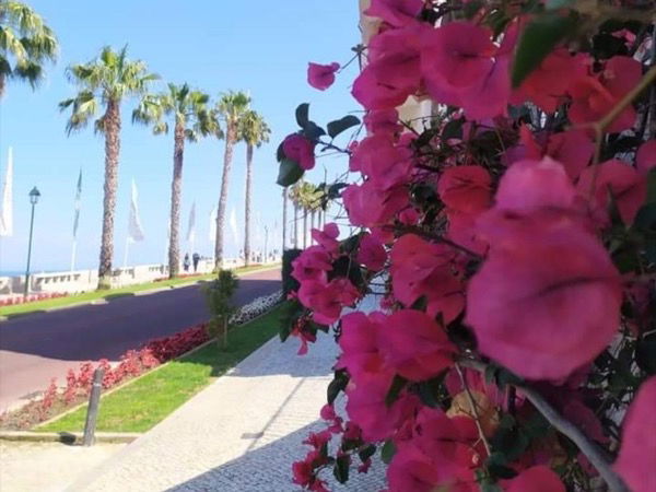 Cascais, the glamorous fishing town