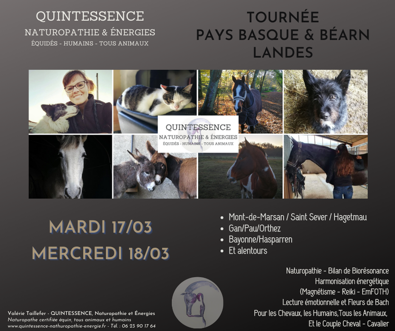 TOURNEE PAYS BASQUE & BEARN & LANDES