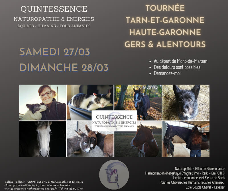 TOURNEE TARN-ET-GARONNE & HAUTE-GARONNE & GERS