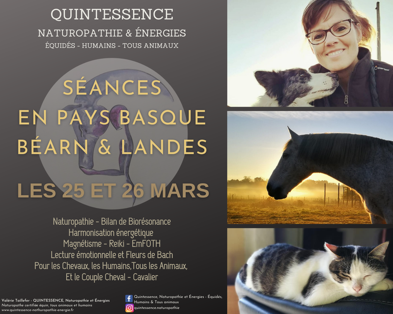 SEANCES EN  PAYS BASQUE * BEARN * LANDES * ET ALENTOURS