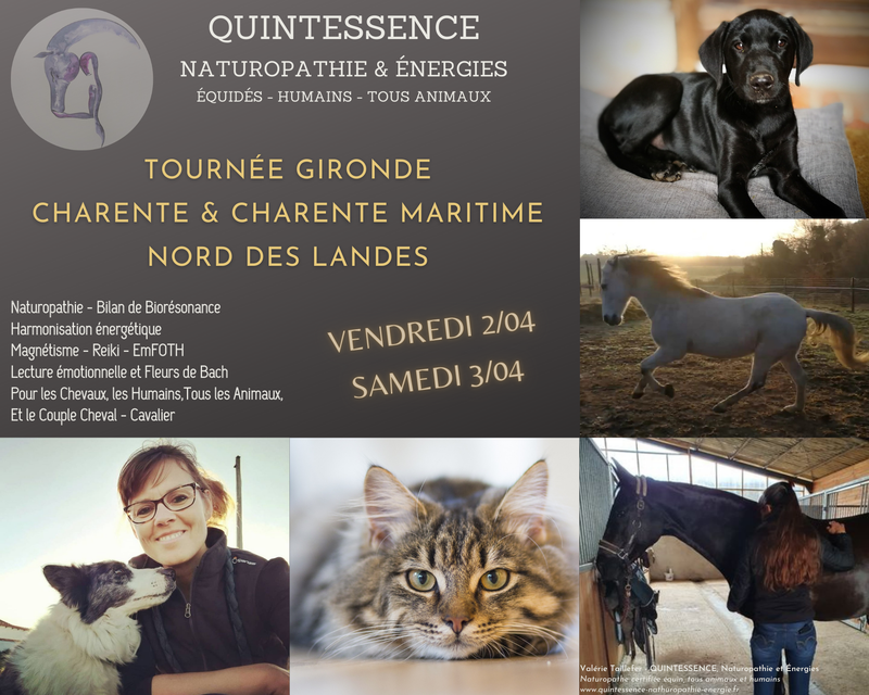 TOURNEE GIRONDE & CHARENTE & CHARENTE MARITIME VIA NORD DES LANDES