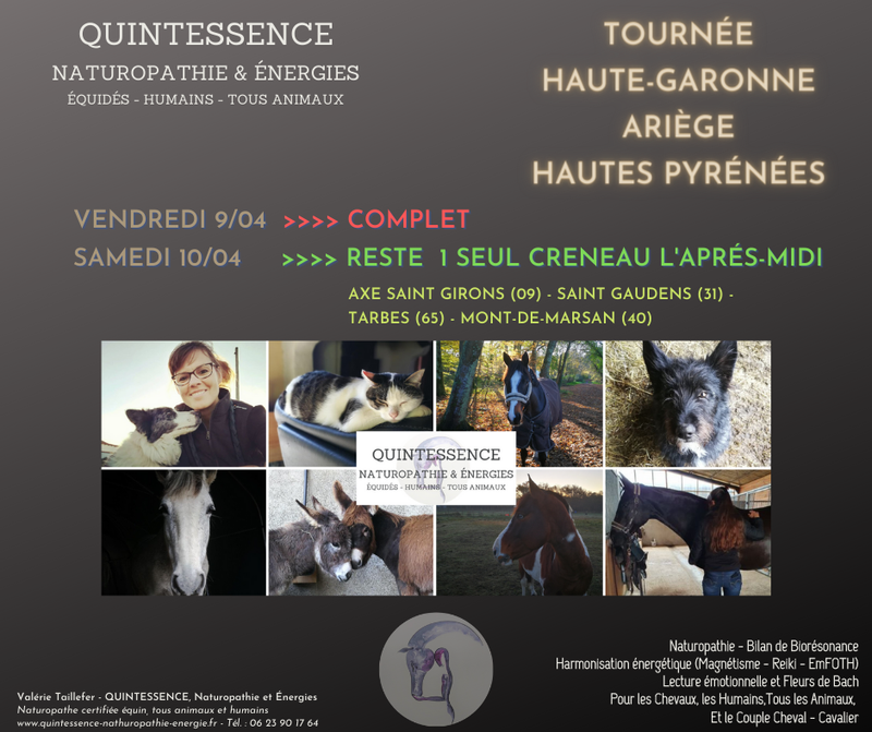 TOURNEE HAUTE-GARONNE & ARIEGE & HAUTES-PYRENEES