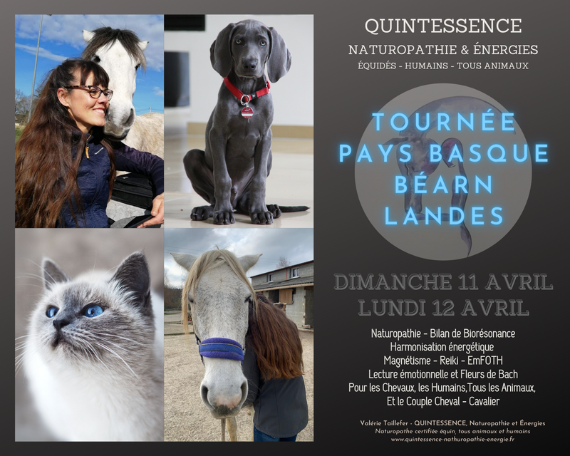 TOURNEE PAYS BASQUE & BÉARN & LANDES