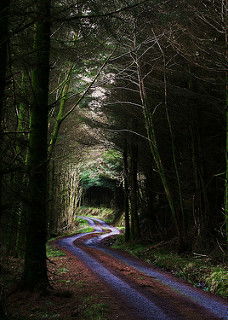 Masonic Mystery Trip 2016