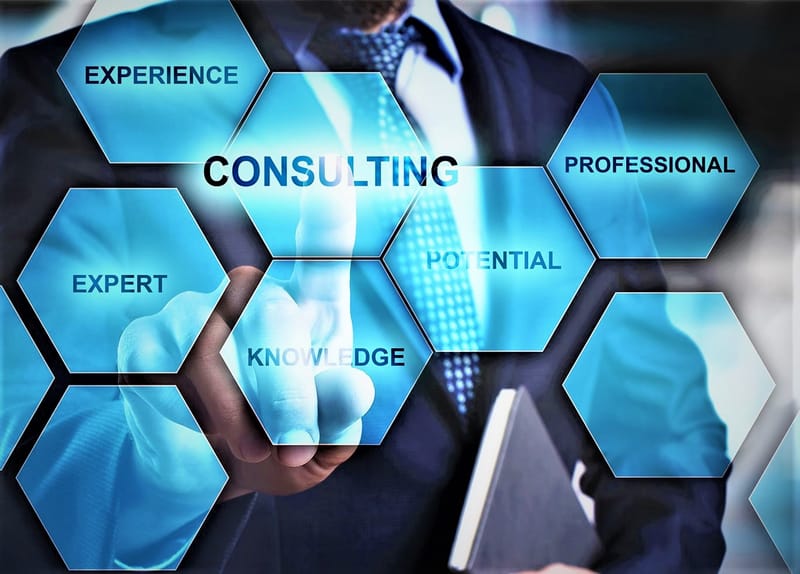 Business Development & Consulting Services