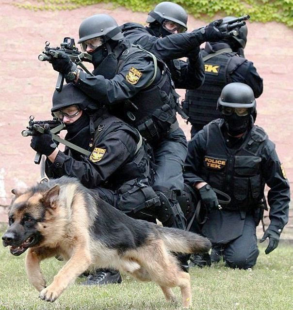 World Class K-9 Training Solutions