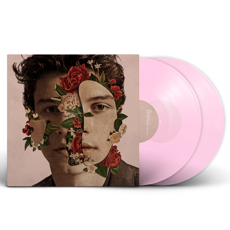 Shawn Mendes (2018)