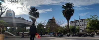 Acerca del autor image