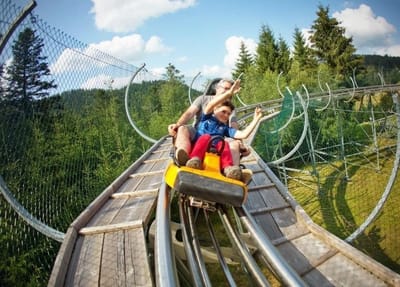 ! לא רק לילדים: מגלשות הרים