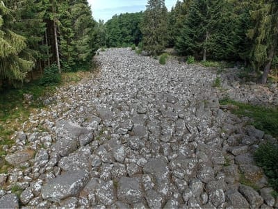 ? בנהר הסלעים כבר שחיתם
