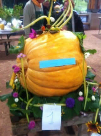 LA FETE DES CUCURBITACEES חג הדלועים