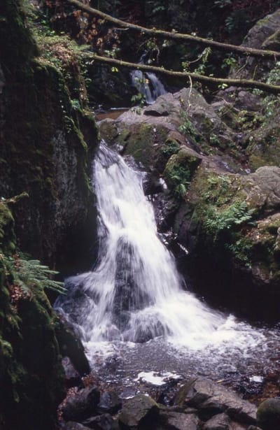 SAUT DES CUVES   מפל סוט דה קוב