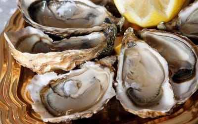 DES HUITRES ZONES OSTREICOLES צדפות