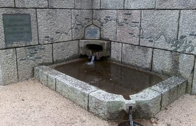 טיולי נביעות - המוזל, האיל, התור והדולר