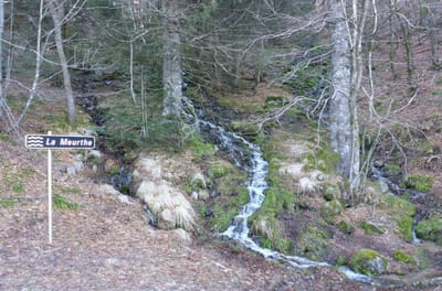 טיולי נביעות - המורט, המוזלוט, הוולונייה והפכט