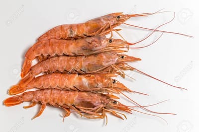 לַנְגוּסְטִין דֶה לוֹקְטוּדִי     LANGOUSTINE DE LOCTUDY