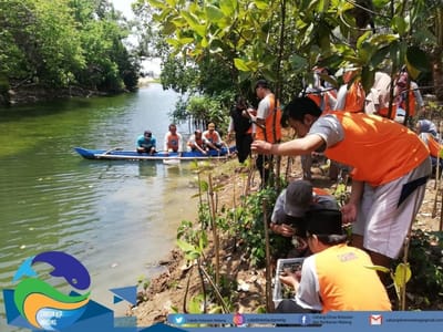 PENANAMAN MANGROVE