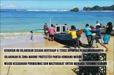 PENENGELAMAN TRUMBU KARANG