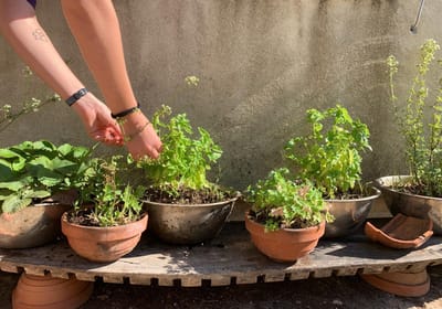 קצת עלינו image