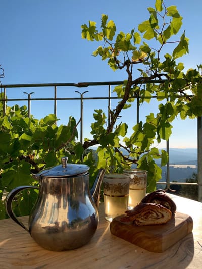 אצלנו במרפסת image