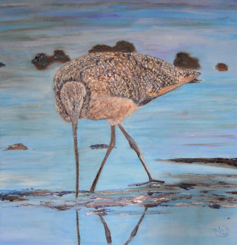 Birds of a Feather and Glasgow & Paisley Forever