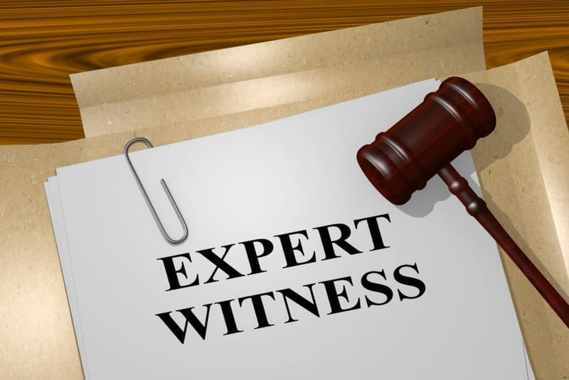 EXPERT WITNESS