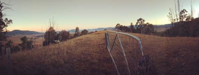 Bob Swadling Composition - Cobark - Copy