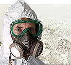 Mold Removal