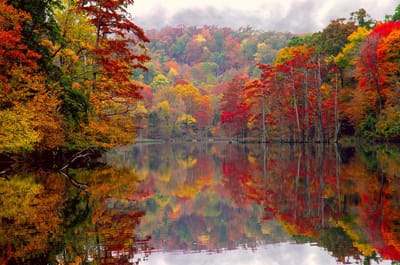 Wat is psychosociale therapie image