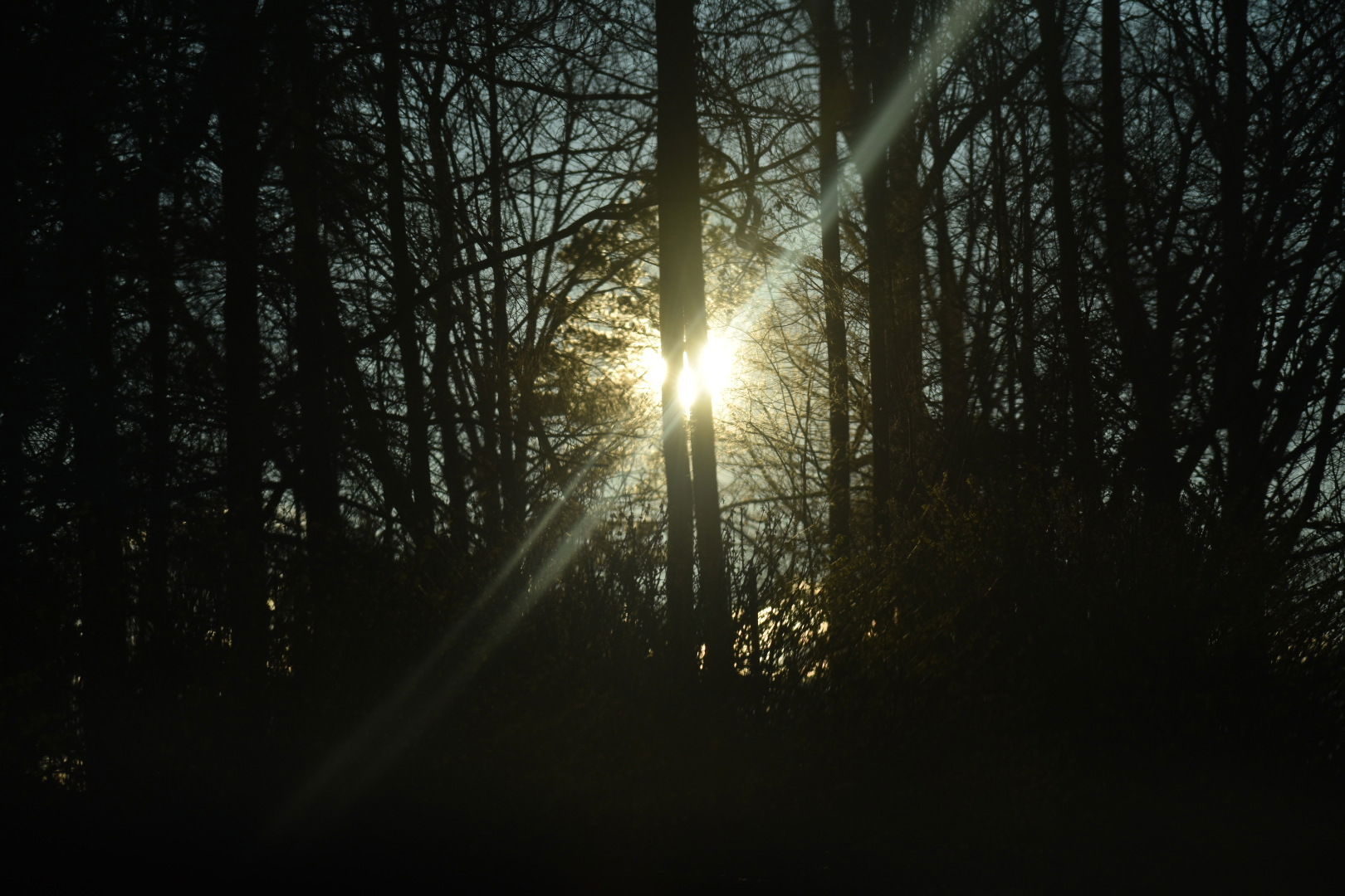 Be A Light
