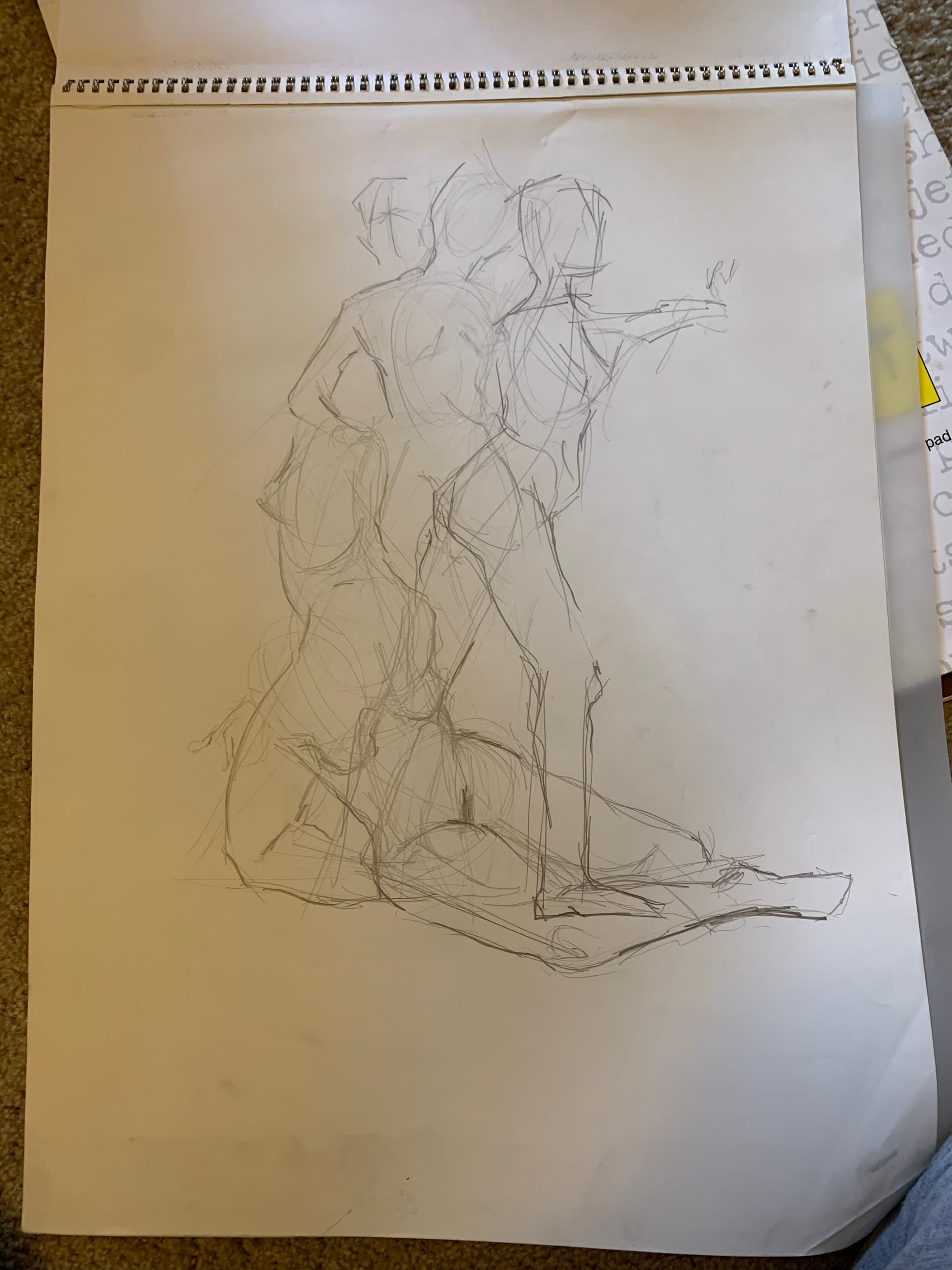 Experimental Drawing