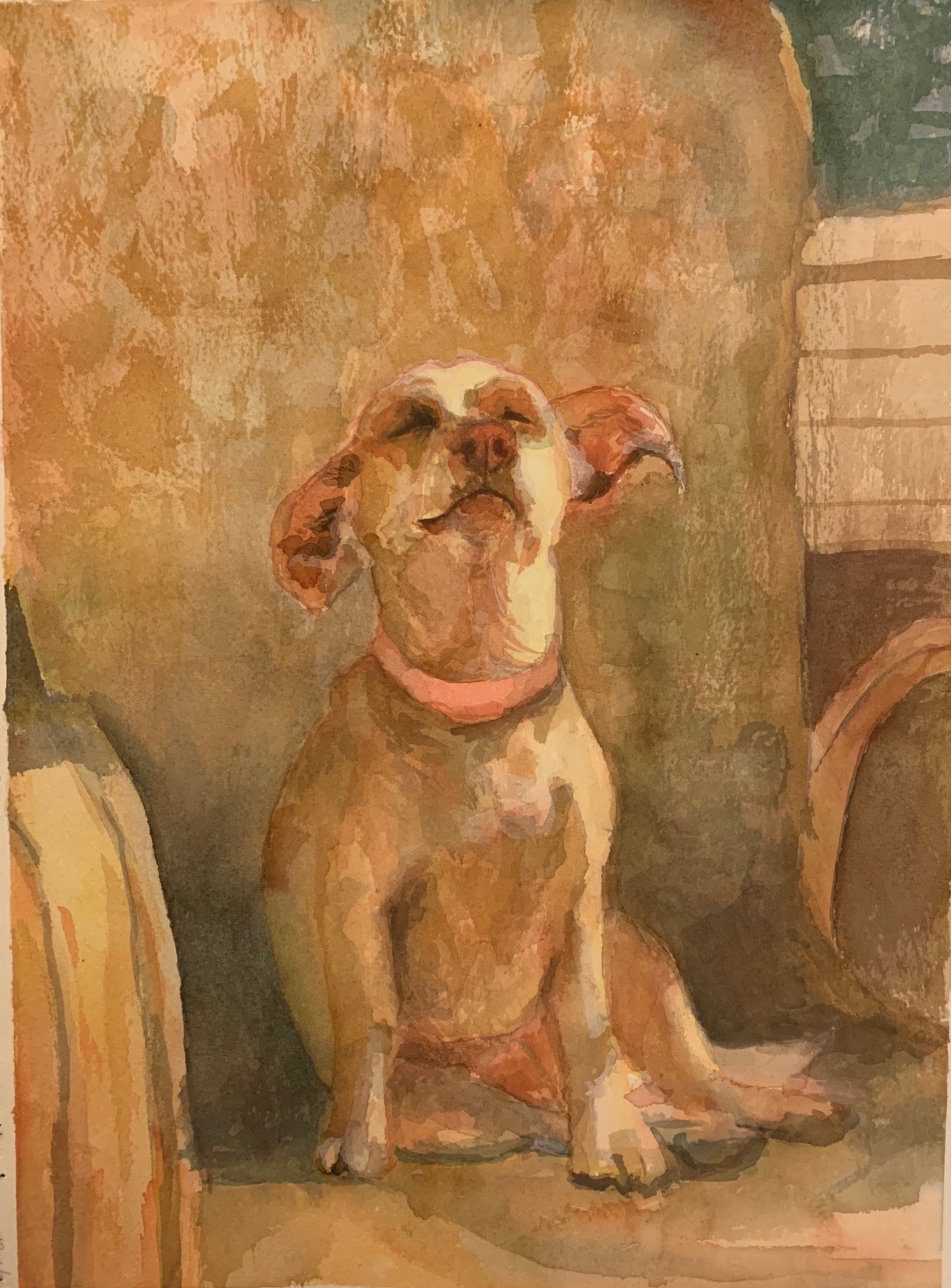 "Nessie in Sunlight"