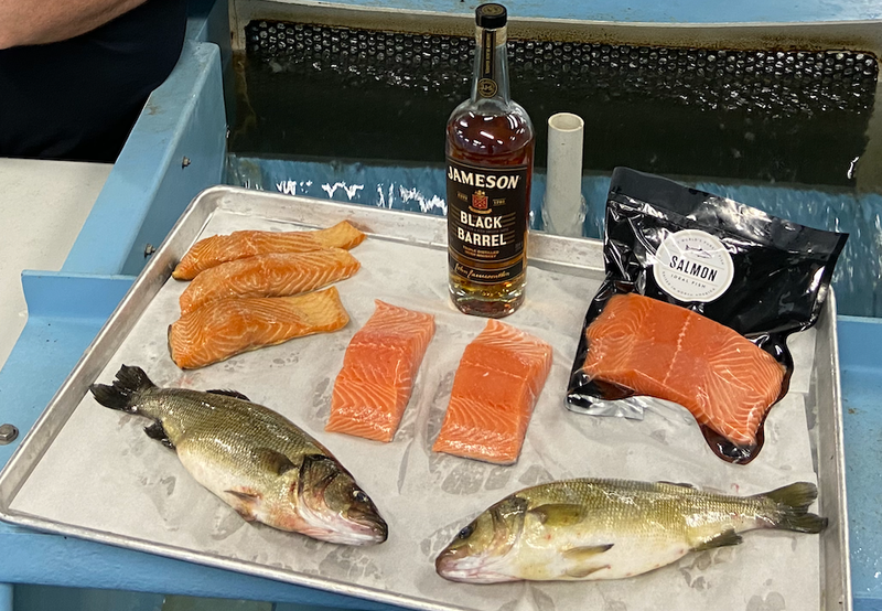 Whiskey Branzino Fillets