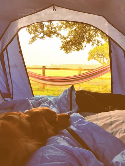 Accommodation  image