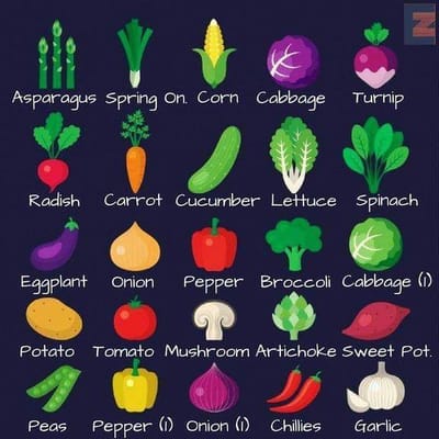 Build your vocabulary