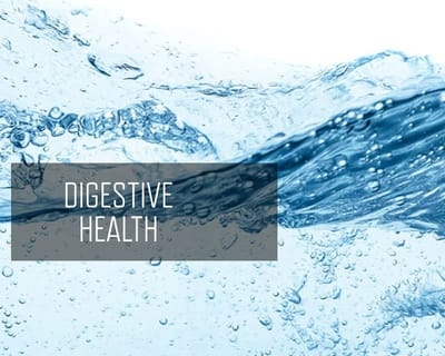 DIGESTIVE HEALTH