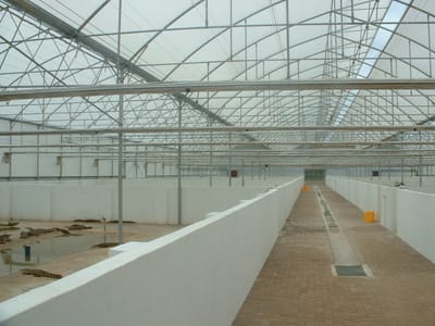 {{trans:af415d98810945092c14824eb188194d_1}} image