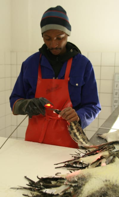 {{trans:1b358d7c30442bfc4717c2af49e888cb_1}} image