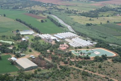 {{trans:af415d98810945092c14824eb188194d_1}} image