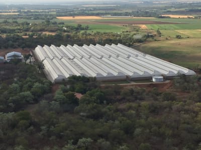 {{trans:13f177ddeedecff4124453cd61089d73_1}} image