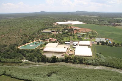 {{trans:af415d98810945092c14824eb188194d_1}} image