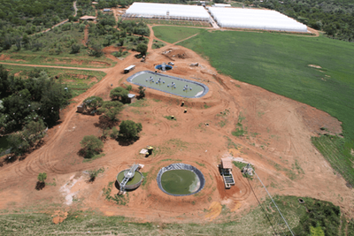 {{trans:543b53264287d2ec2c444853cd8de666_1}} image