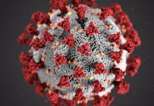 Imformacion de servicios ante la situacion COVID-19