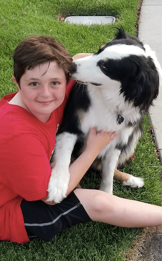 30 Minute Dog Walk