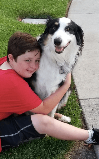 1 Hour Dog Walk