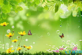 第八十章：微明  （表里如一）