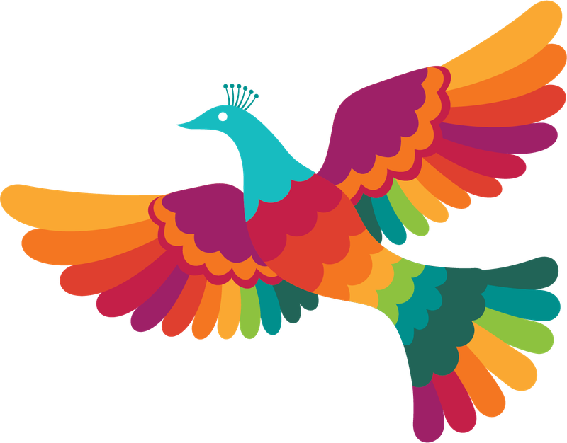 את גאה להציג: פרסומת. שגאה להציג: תוצאות.