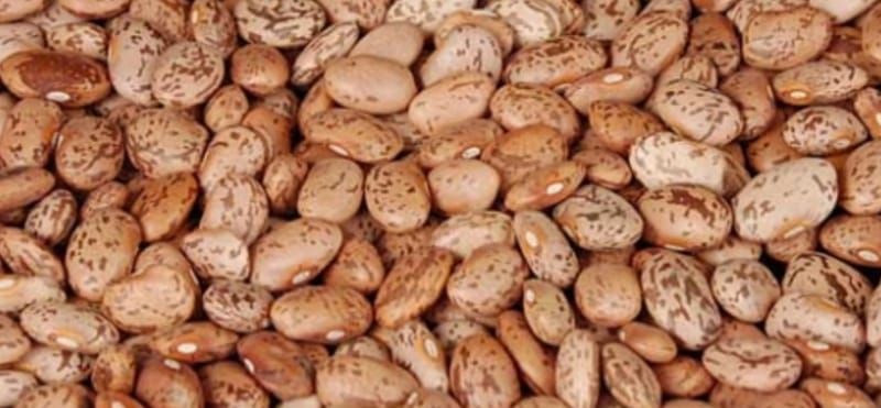 24 lb Pinto Beans 5 gallon