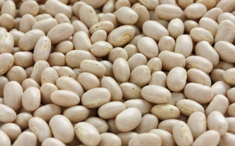 24 lb Navy Beans 5 gallon